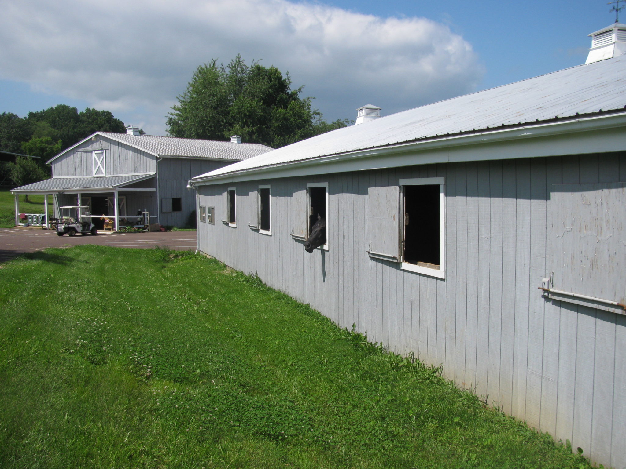 Boarding - Touch Point Farm